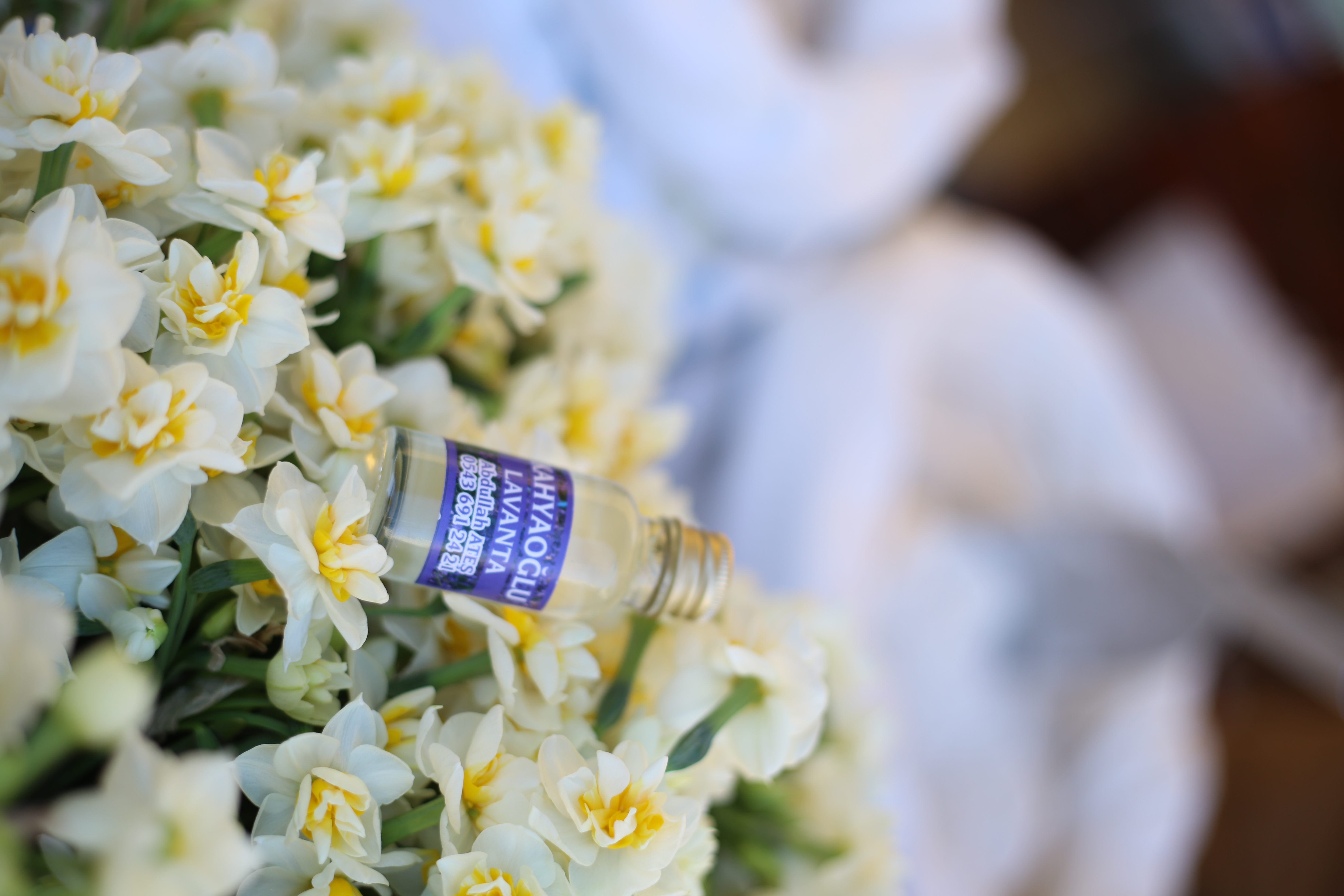 Abdullah Ateş [Kahyaoğlu Lavanta]