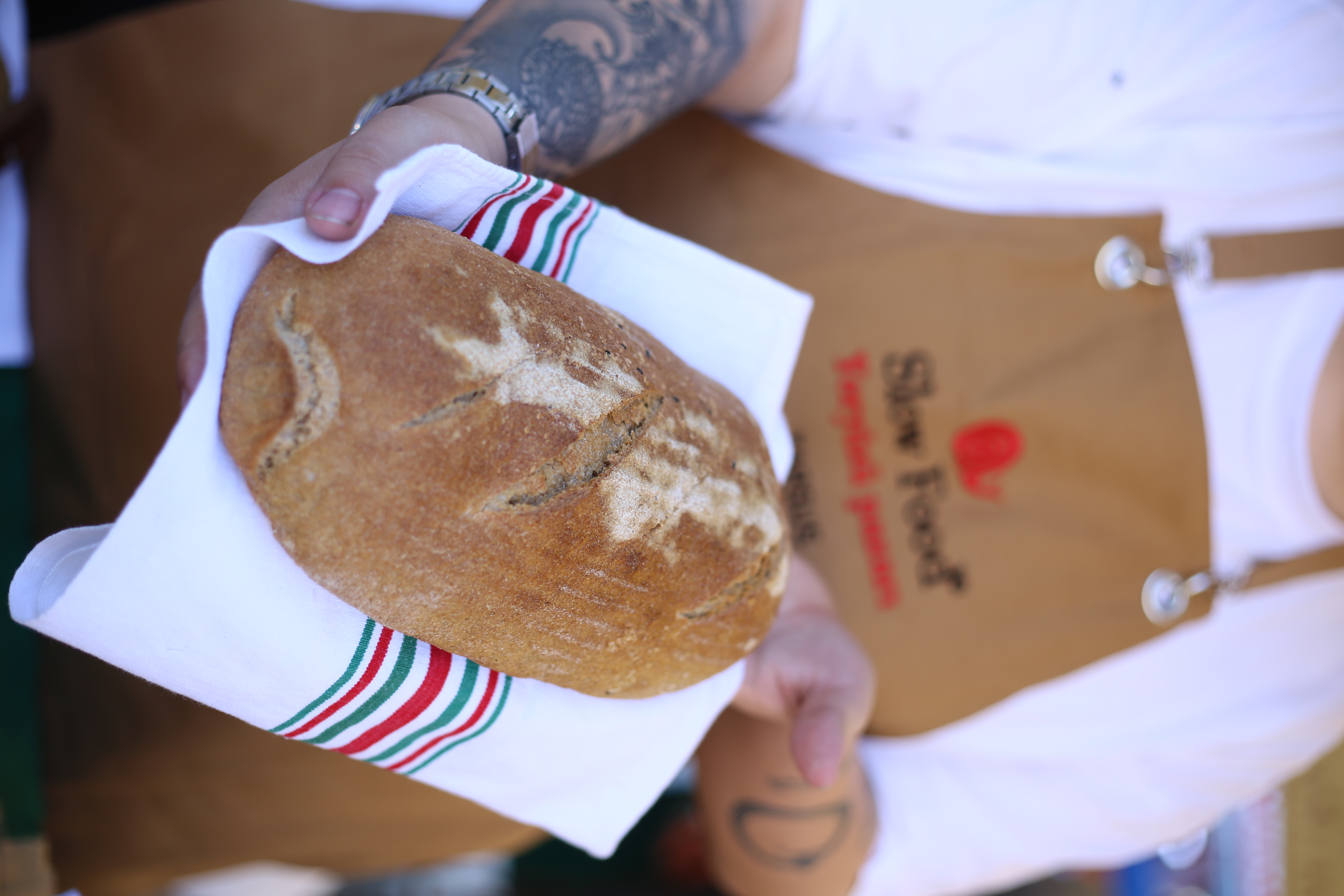 Nilüfer & Can Gatenyo [Gattini]