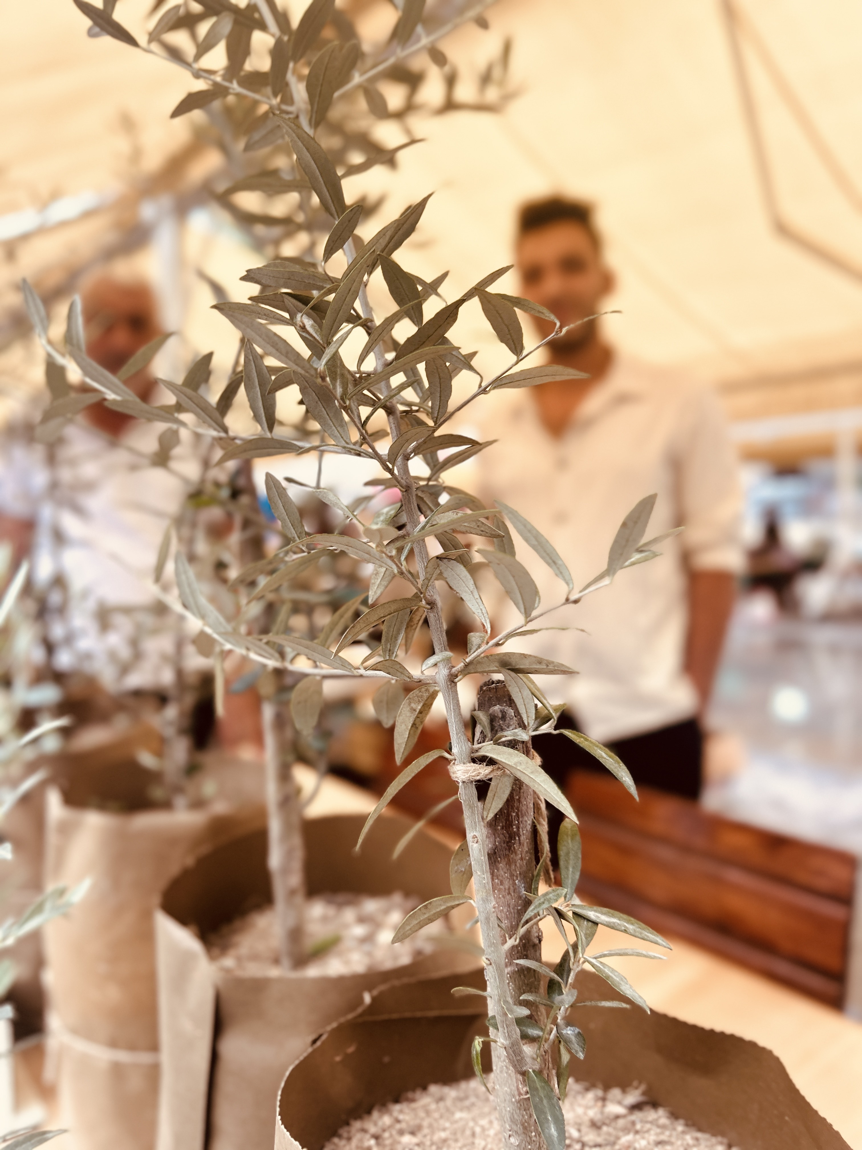 SlowFood